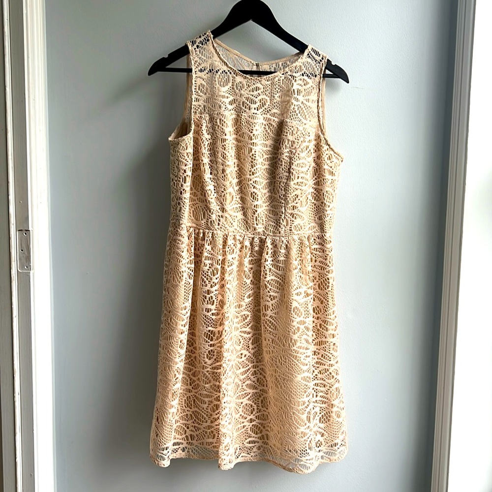 Ivory lace cocktail dress. - Sandra Darren